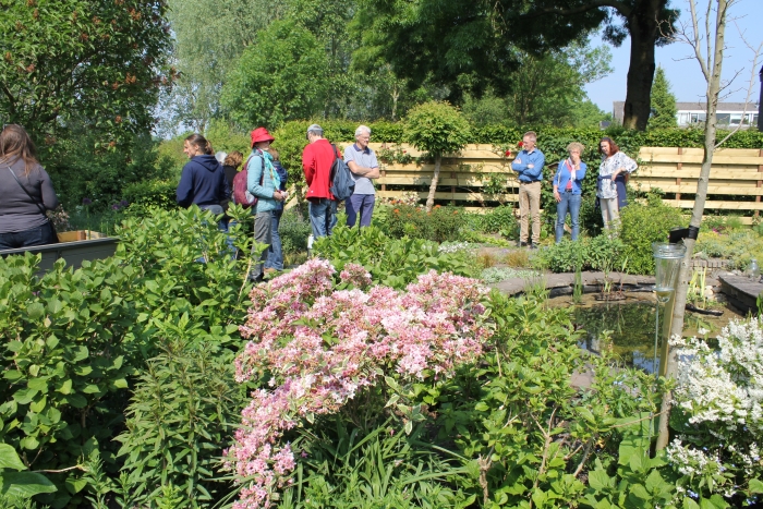 maak een groene oase van uw tuin!