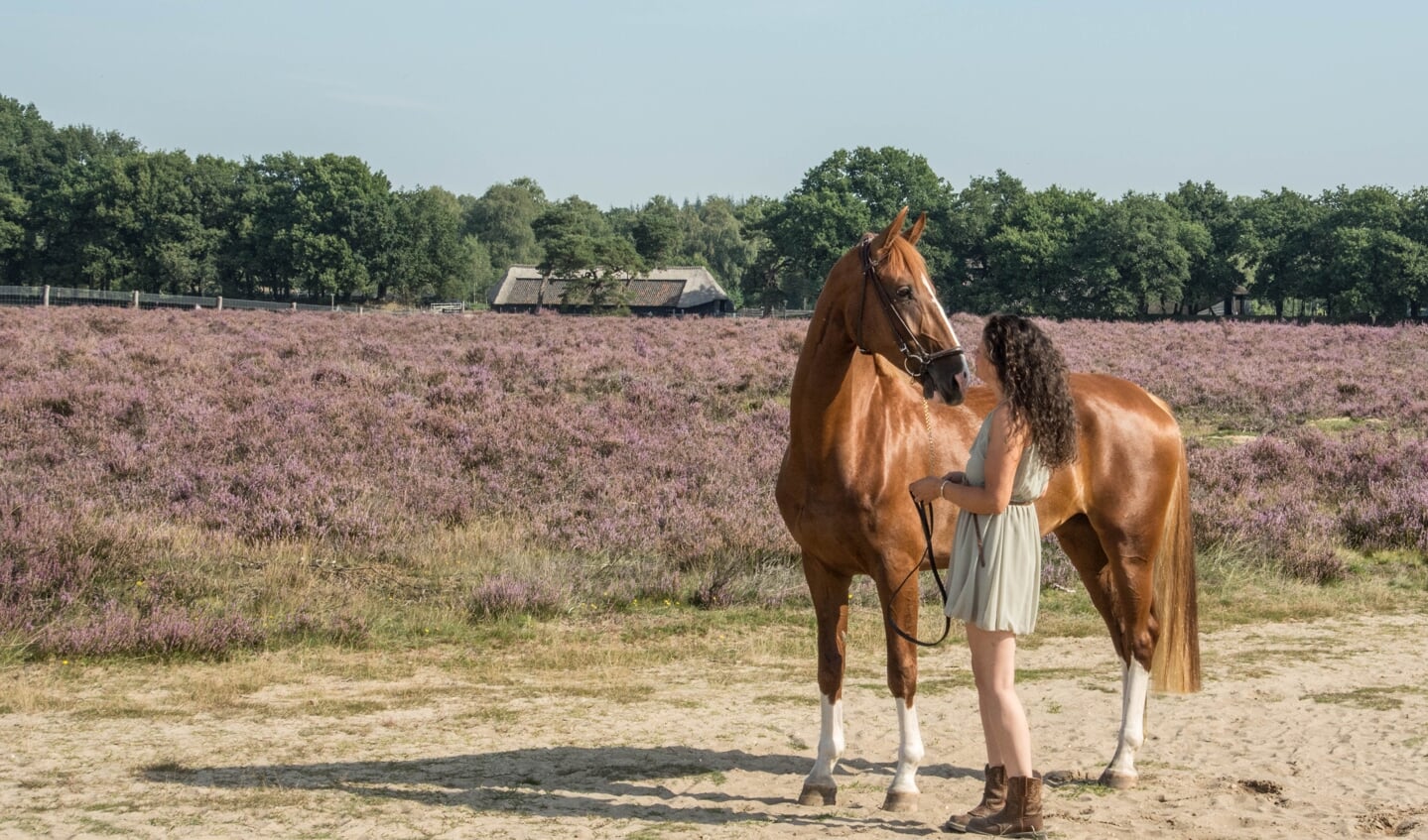 Een jonge vrouw en haar paard langs de Hessenweg op de Edese Heide.