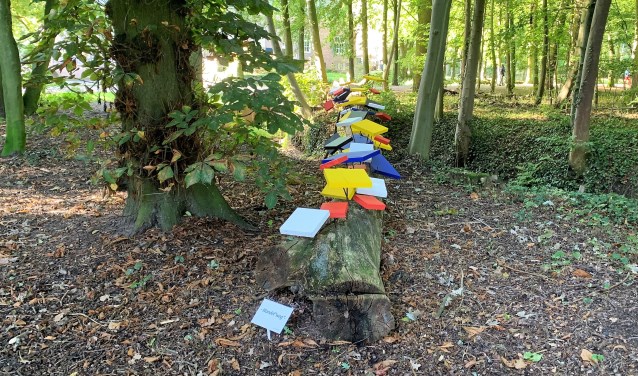 Het kunstwerk de Wandelweg in het bos bij Groeneveld.