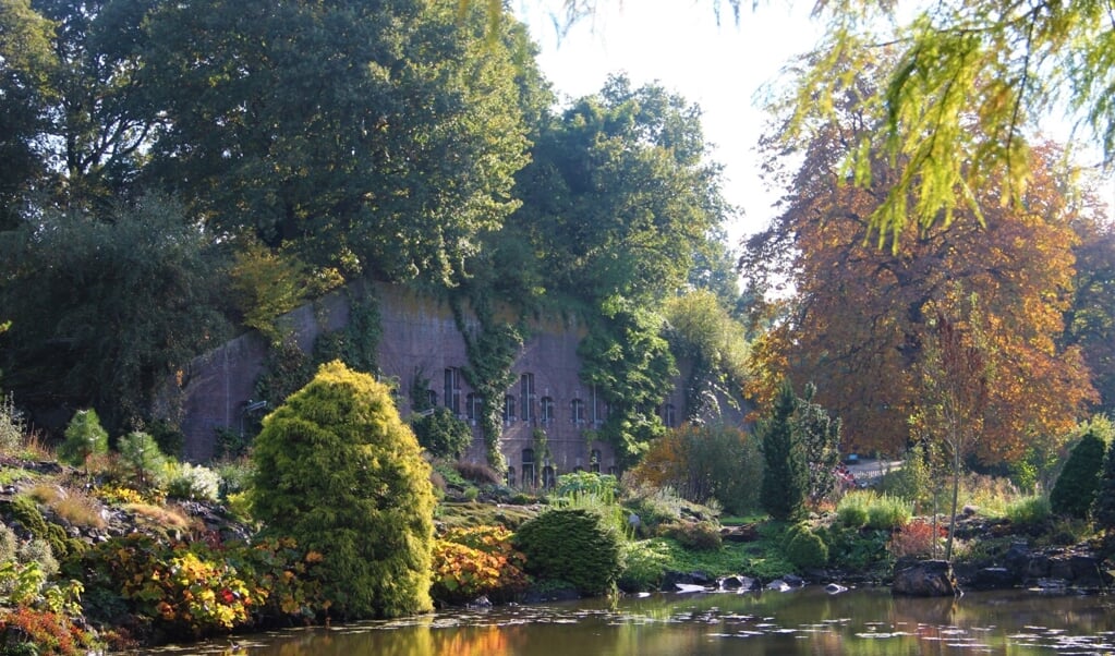 Herfst in de Botanische Tuinen