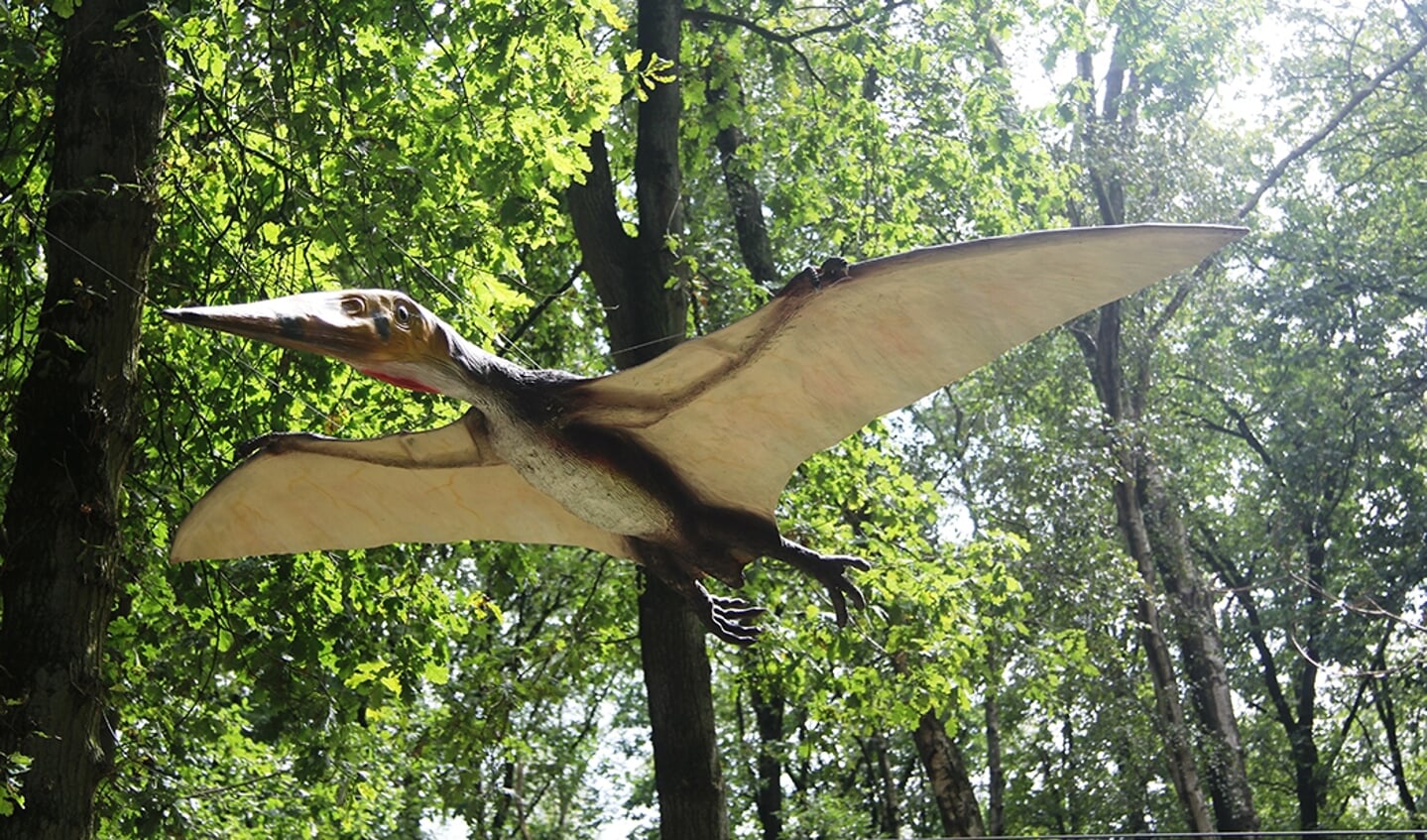 Pterodactylus in het Dinopark