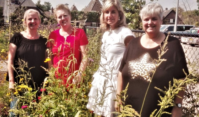 V.l.n.r. Petra de Booij, Janet de Oude Mooi, Anita den Hartog en Yvonne van den Nieuwenhuijzen.