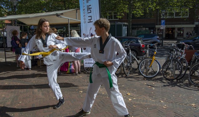 Tijdens 'Heemstede Sportief' werden allerlei demonstraties gegeven