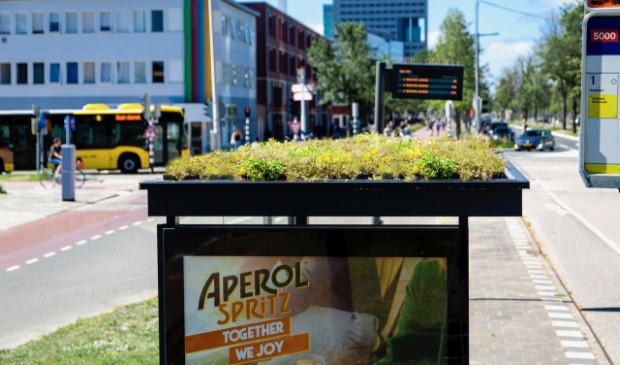 <p>Zo moeten de bushokjes in Amersfoort eruit komen te zien</p>