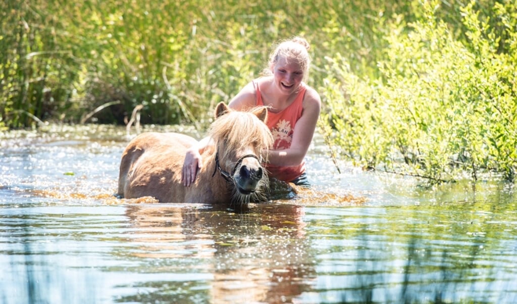 Zwemmen met Dribbel Ilse Wanner en pony Dribbel In Leusden in Den Treek.