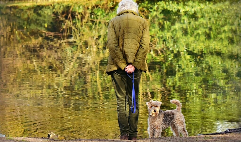 DierenZorg Eemland biedt extra service aan ouderen met een hond.