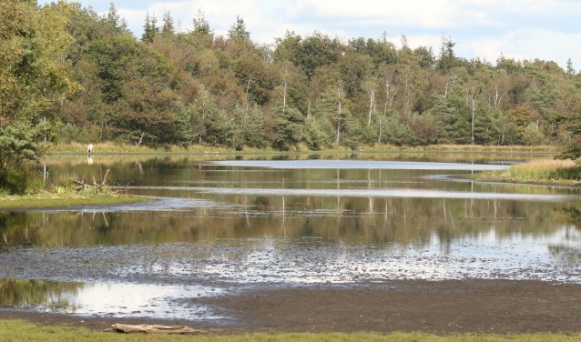 Leersumse plas
