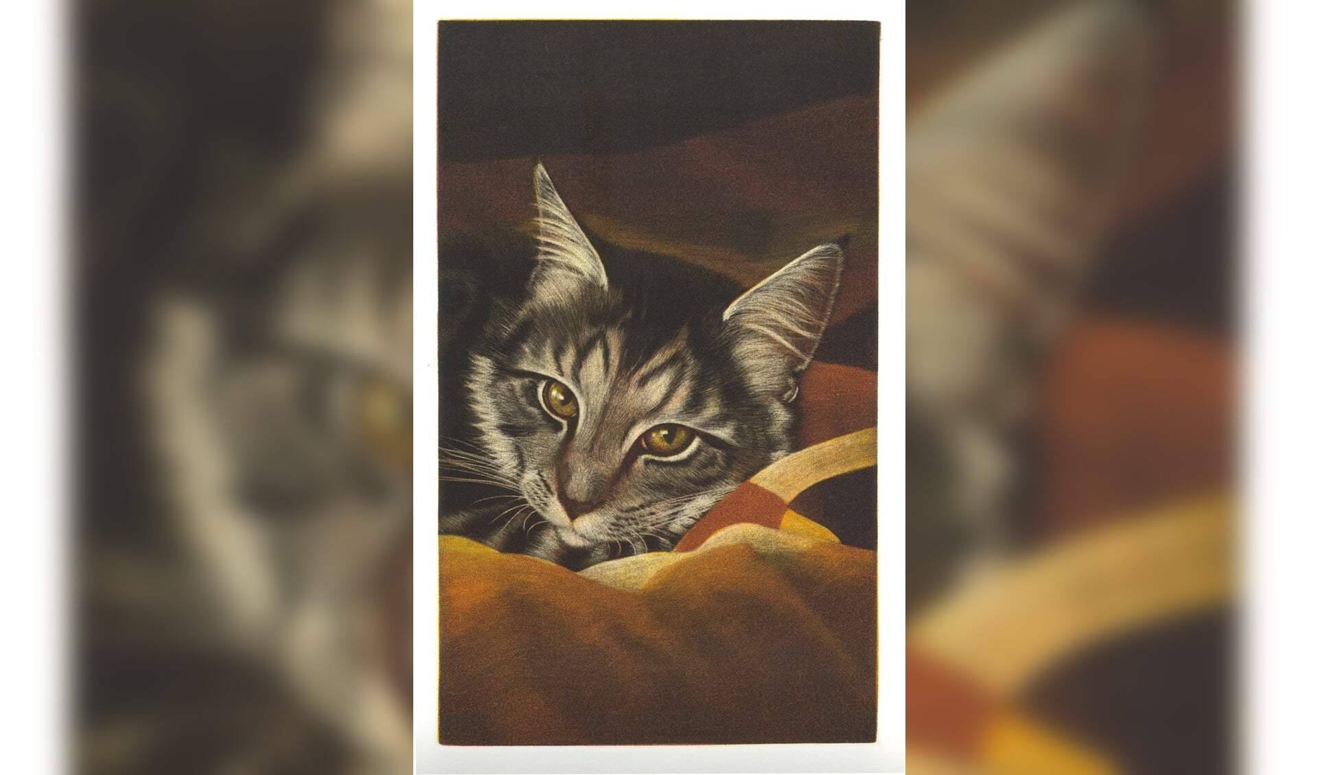 De ogen van mijn kat, een mezzotint van Marianne Stam