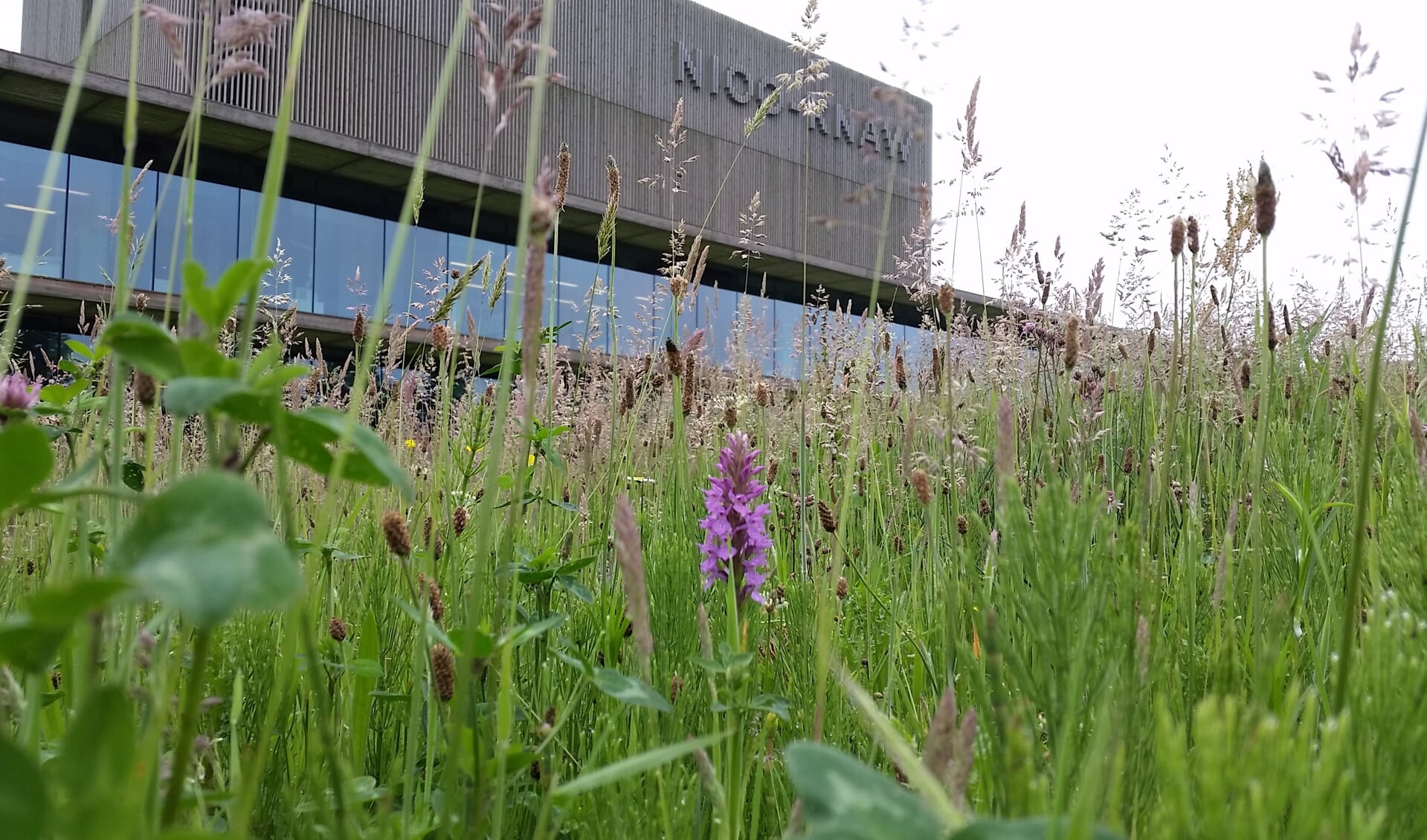 Het bekende duurzame gebouw van het NIOO staat langs de doorgaande weg van Ede naar Wageningen.