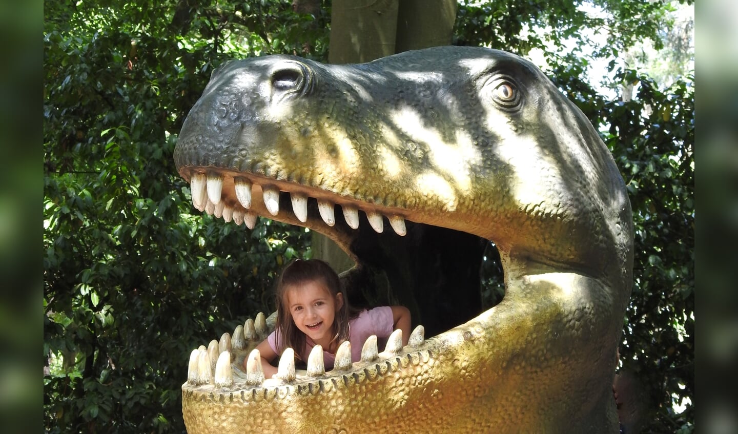 Jonge bezoeker in Dinopark
