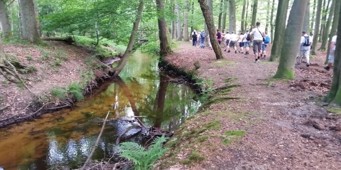 Wandelaars