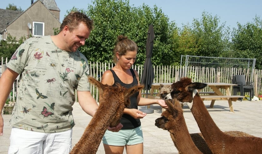 Randy Veldhuizen en Walenka Broskiwiets bij hun Alpaca's