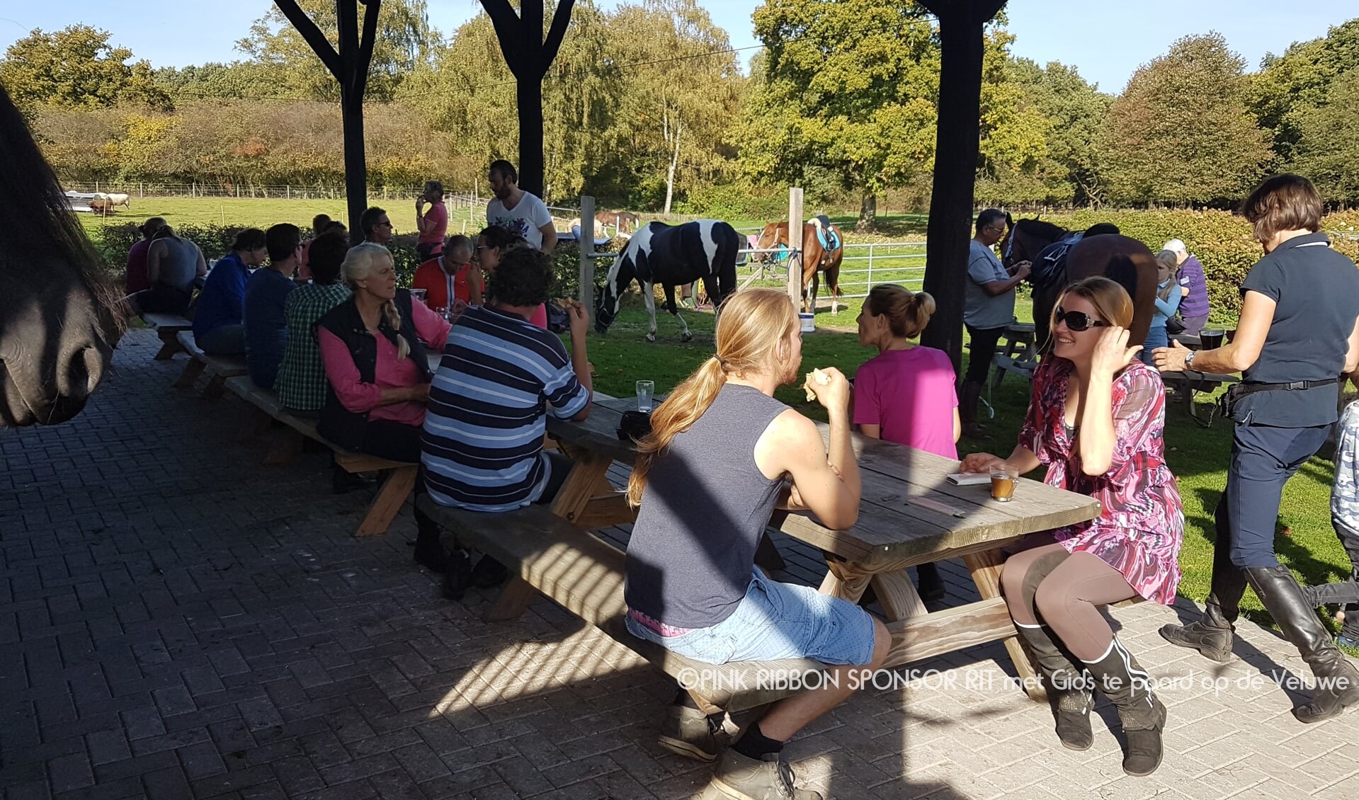 Gezellig met zijn allen aan de lunch 