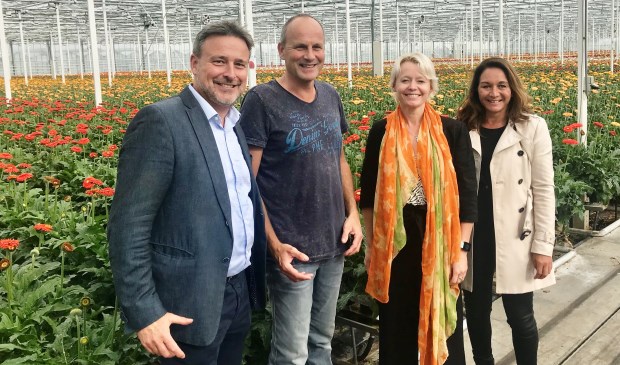 Tom van Dijk (accountmanager van de gemeente), ondernemer Bart Schouten, wethouder Floor Gordon en Darshan Sloot (directeur Ondernemersvereniging Amstelveen) op bezoek bij Gerbera Kwekerij Opti-Fleur.