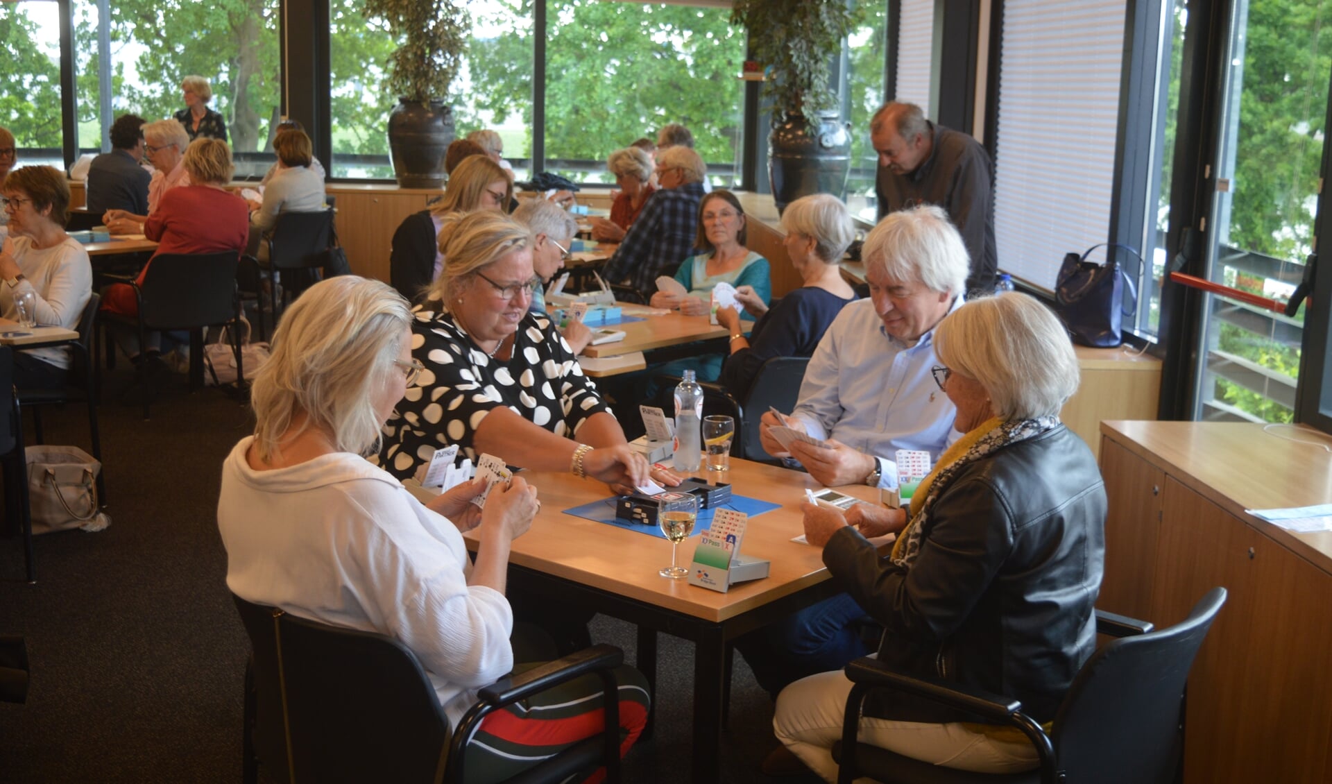 In Hoogland gaat een bridgecursus voor beginners van start.