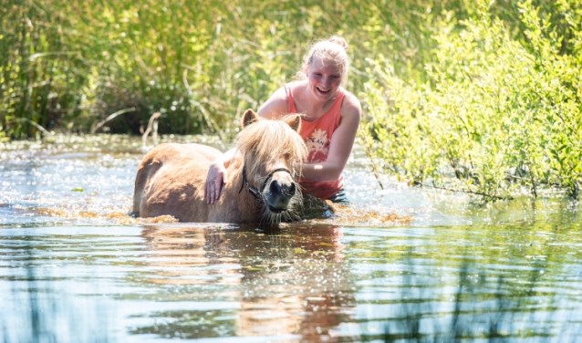 Zwemmen met Dribbel Ilse Wanner en pony Dribbel In Leusden in Den Treek.
