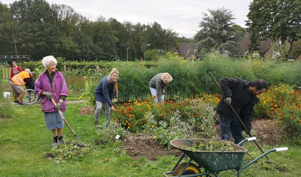 De vrijwilligers zorgen er voor dat de dorpsakker er mooi bij ligt voor het oogstfeest. Middelste dame is Esther Gijsbertsen.