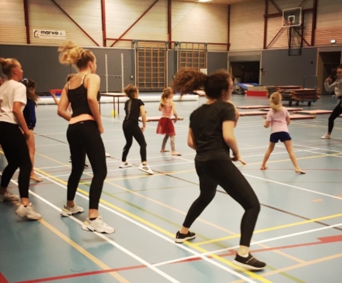 Dansworkshop Bindelwijk