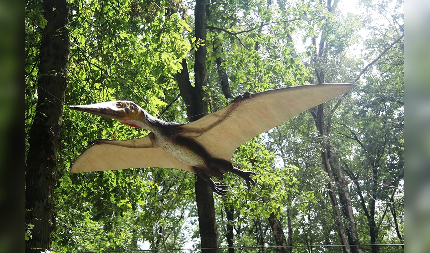 Pterodactylus in het Dinopark