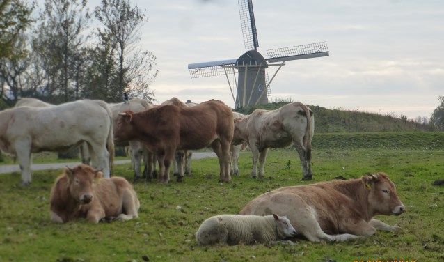 Gezellig met elkaar