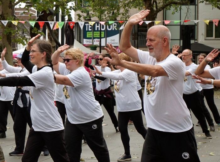 tai chi demonstratie