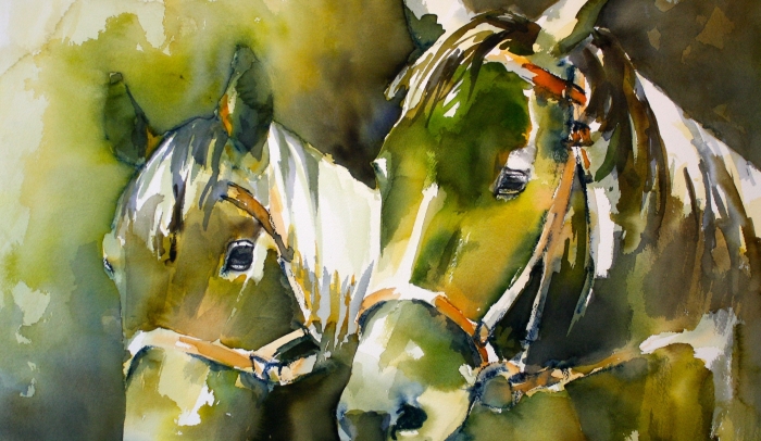 paarden