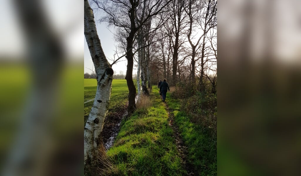 Prachtige bospaden tijdens de wandeling.