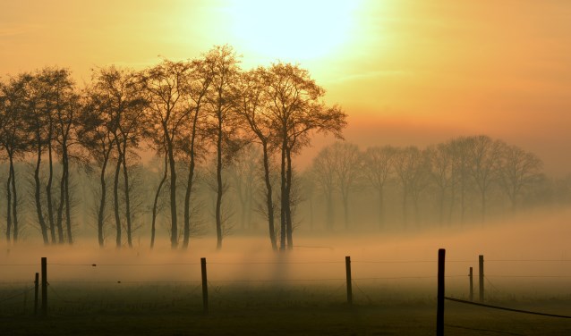 Samenspel van mist en de laatste zonnestralen op oudjaarsdag.