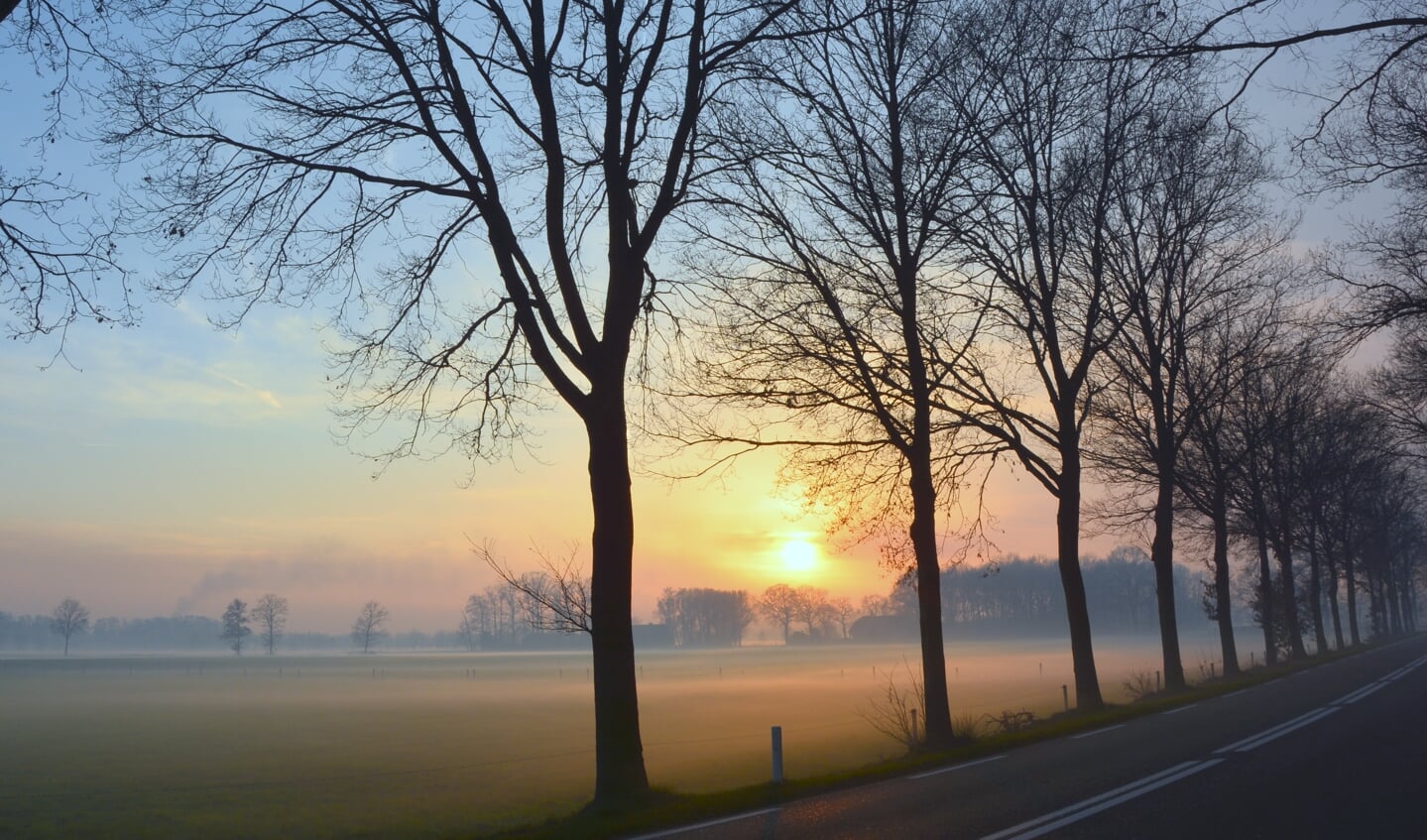 Samenspel van mist en de laatste zonnestralen op oudjaarsdag.