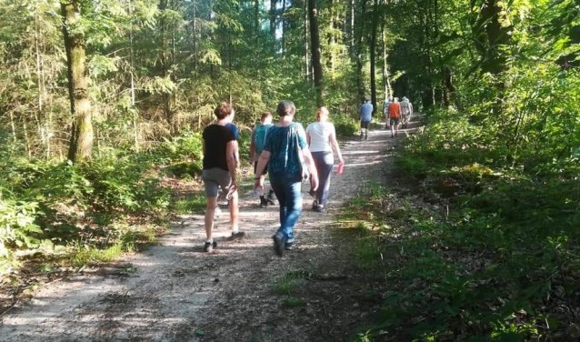 De paden op, de lanen in. Het is mooi wandelen op de Utrechtse Heuvelrug.