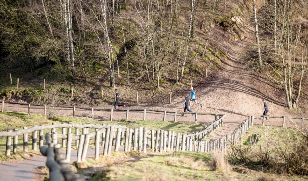 <p>Foto van de Kwintelooyen Winterrun van vorig jaar.</p>