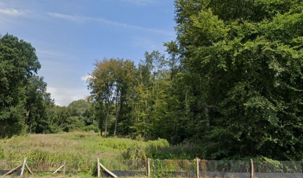 Het Amsterdamse Bos ter hoogte van de Bosrandweg.