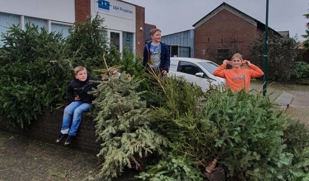 De kinderen Geerts haalden in de wijk 75 kerstbomen op. De gemeente kwam langs aan de Zijdevlinderhoek. (Foto: Jeannet Geerts)