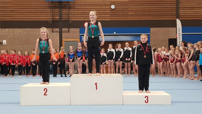 Goud en zilver voor DOK