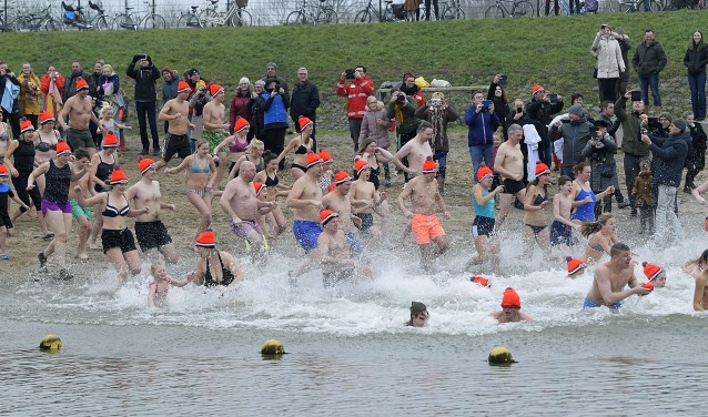 Nieuwjaarsduik