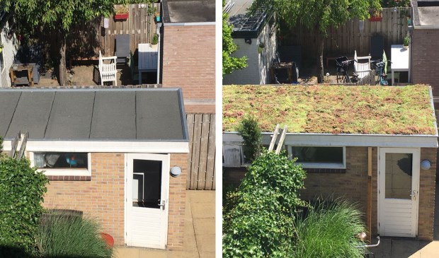 Schuur zonder en met groen dak (voor en na)