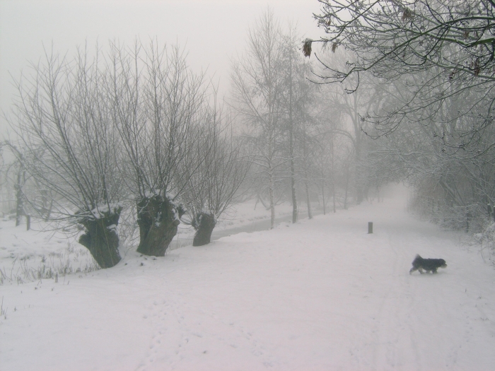 winterwandeling