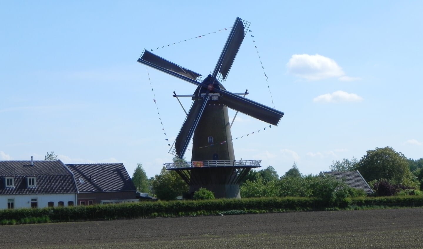 De molen vormt een karakteristiek beeld bij binnenkomst van Werkhoven.