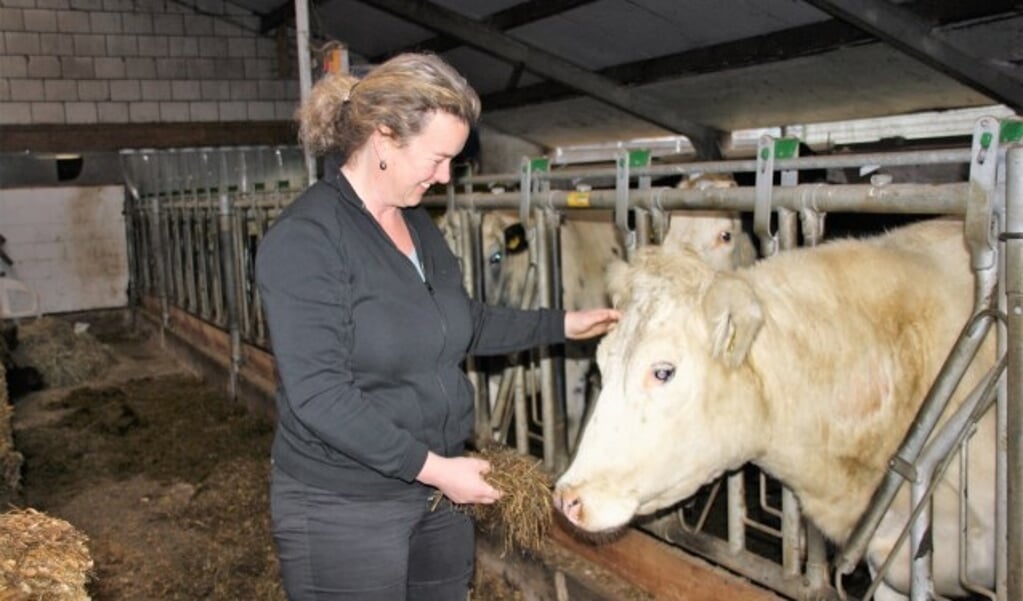 Naast dat Martine de landwinkel De Hooierij runt, is zij ook dagelijks in de stallen bij de koeien te vinden.