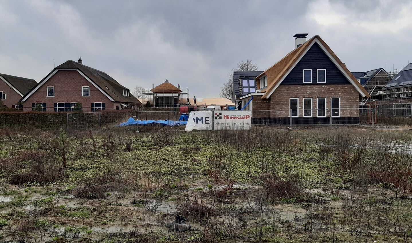 De kavels liggen voor Van den Boom aan de Weteringsdijk; zij bouwen de woning met rieten kap met erachter een hooibergwoning