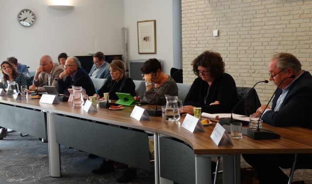 De P21 fractie tijdens het Rhijnhaeghe debat (archief)