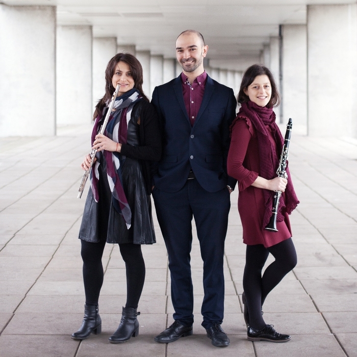 Het Scherzando Trio