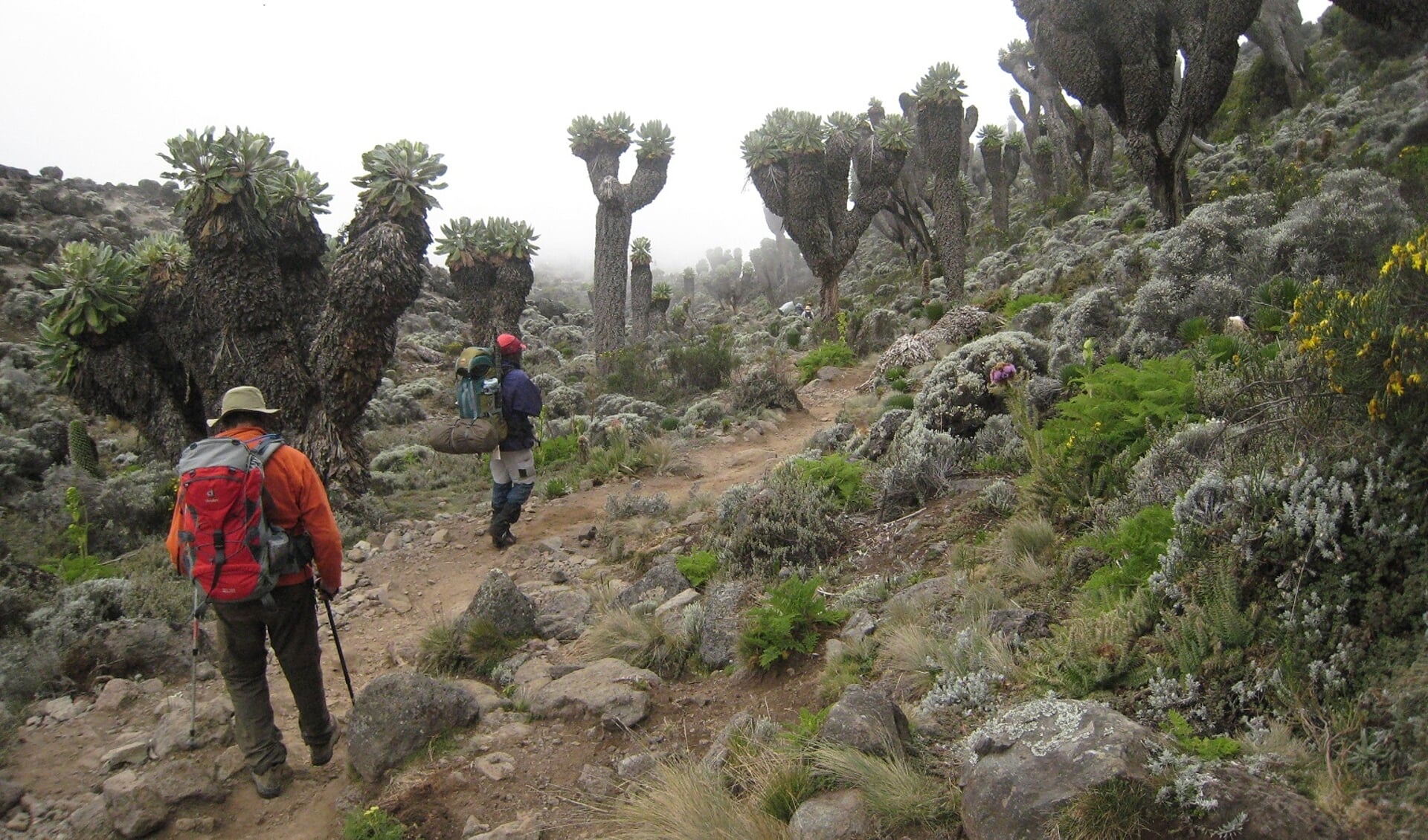 Beklimming van de Kilimanjaro