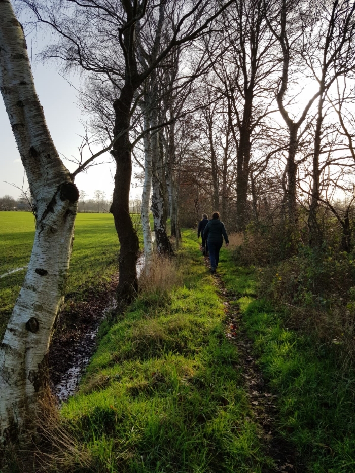 Prachtige bospaden tijdens de wandeling.