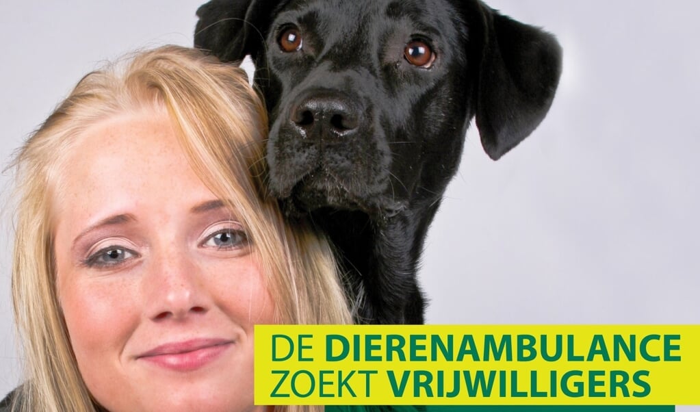 vrijwilligers gevraagd Dierenambulance