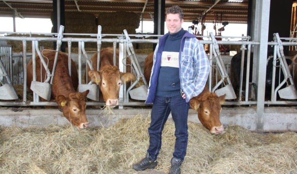 Wouter tussen zijn hoogdrachtige Limousin koeien die in de potstal staan - https://zorgboerderijnieuwtoutenburg.nl/