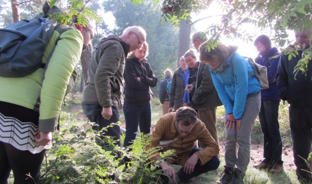 speuren naar diersporen met IVN