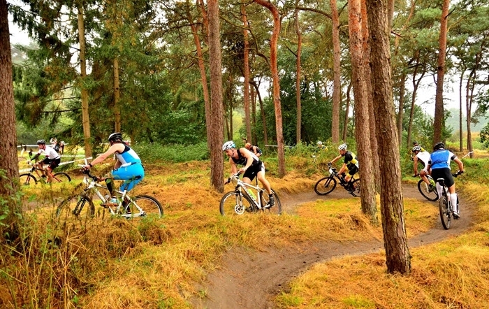 Onderdeel MTB