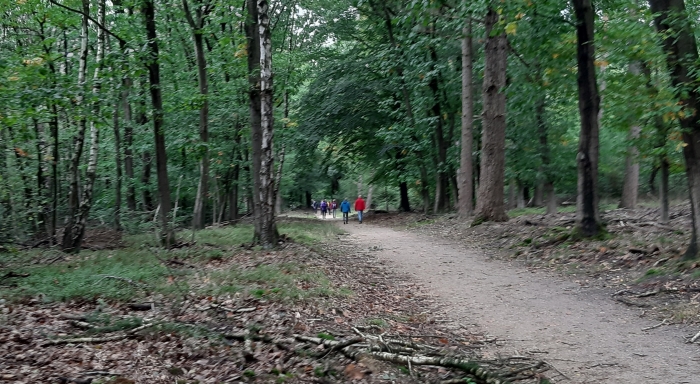 wandelaars in bos