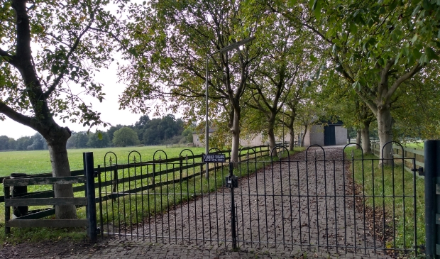 <p>Waar nu deze ene schuur staat, komt een hele woonwijk, volgens de plannen.</p>